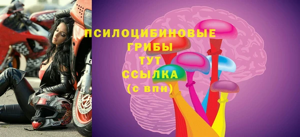 mdpv Карпинск