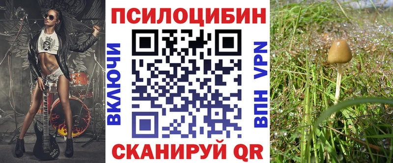 Галлюциногенные грибы Cubensis  Купить закладки  Выборг 